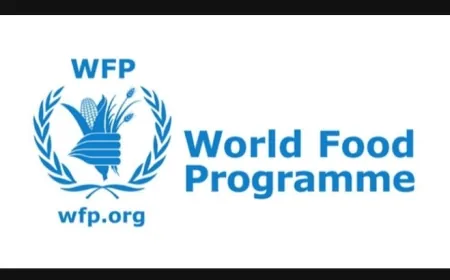 برنامج الأغذية يعلق أنشطته في غزة بعد إصابة مركبة بالرصاص قرب نقطة تفتيش إسرائيلية