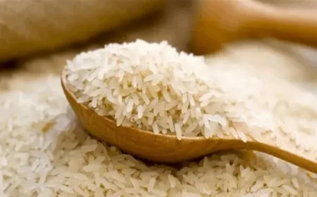 في لبنان.. أوّل حالة تسمم غذائي بالأرز تسبب إصابة نادرة