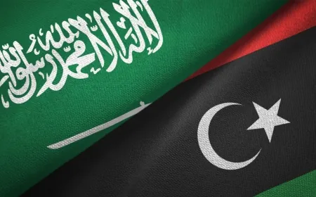 السعودية وليبيا مولتا شراء شحنات غاز طبيعي مسال لمصر