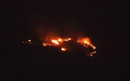 اسرائيل: اندلاع حرائق جراء مسيرة أطلقت من لبنان