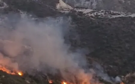 بالفيديو - حريق كبير في وادي بلدة عفصديق