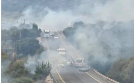 جانب من الحرائق المشتعلة في "ديشون" ‎شمال_فلسطين
