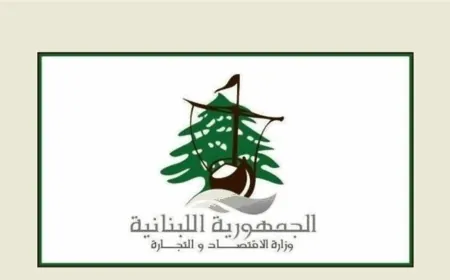 مصلحة الاقتصاد جنوباً: 4 محاضر ضبط بحق اصحاب مولدات مخالفين في طورا وكفرجرة