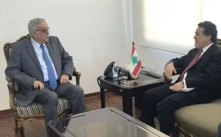 بو حبيب يشكر سفيري تشيلي والنرويج لدعم بلديهما لسيادة لبنان وأمنه