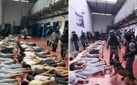 حماس تدين انتهاكات الاحتلال في سجن "مجدو" وتطالب بتحرك دولي عاجل