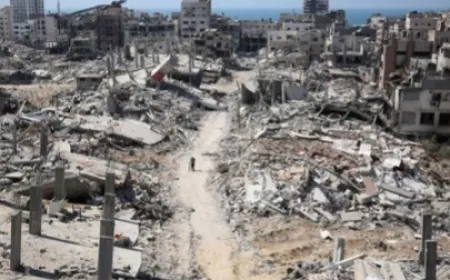 انتشال جثمان و4 جرحى من محيط مدرسة الفردوس في مواصي مدينة رفح، جراء قصف مدفعية الاحتلال ظهر اليوم