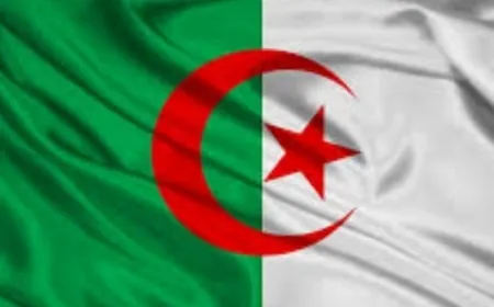 السلطة المستقلة للانتخابات بالجزائر: فوز عبد المجيد تبون بانتخابات الرئاسة