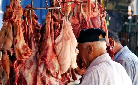 ارتفاع كبير في سعر لحوم الأبقار الأوروبية!