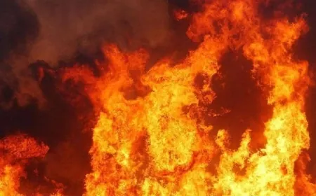 حريق في مصنع للأخشاب في زغرتا وفرق الإطفاء والدفاع المدني تعمل على إخماده