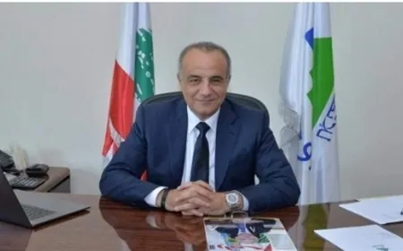 مدير عام اوجيرو يحذر من رسائل عشوائية تصل الى مستخدمي واتساب في لبنان