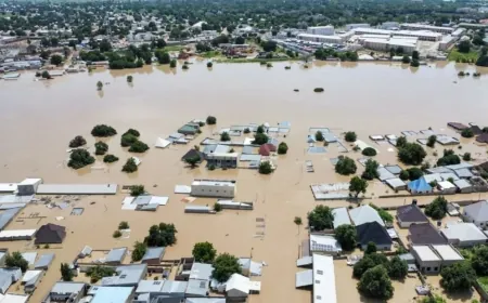 حيوانات قاتلة تجتاح مناطق غمرتها الفيضانات بنيجيريا