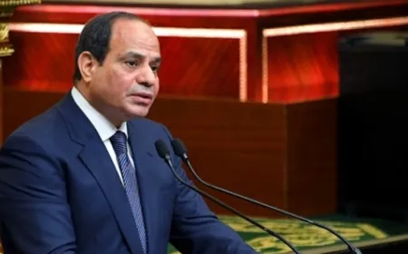 الرئيس المصري عبد الفتاح ‎السيسي: استخدام الغذاء كسلاح لتجويع الفلسطينيين أمر خطير جدًا