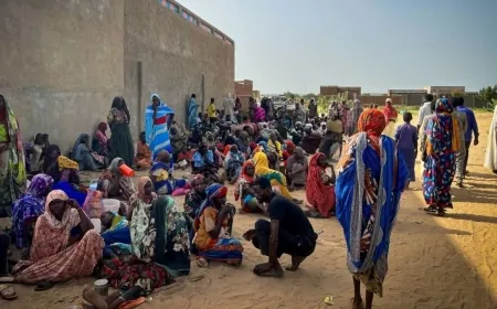 مجلس الأمن الدولي يمدد حظر الأسلحة في دارفور