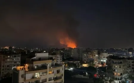 بالفيديو - حريق في مكب النفايات في برج حمود