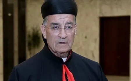 الراعي عرض مع الحلبي أمورًا تربوية وتعليمية والتقى النائب فريد البستاني