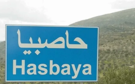 في حاصبيا.. حريق هائل يقترب من المنازل!