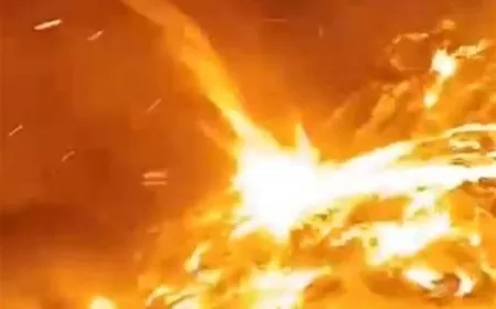 بالفيديو - النيران تلتهم مكب برج حمود