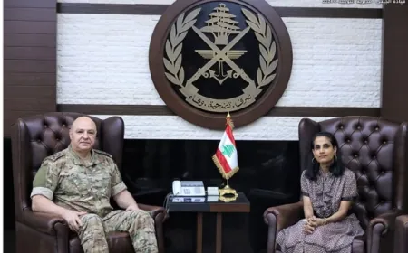 استقبالات قائد الجيش