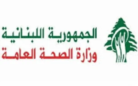 الصحة اللبنانية: شهيد و3 جرحى في غارة إسرائيلية على بلدة المالكية جنوبي البلاد