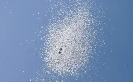 قائد لواء في ‎الجيش_الإسرائيلي وزع على عاتقه بيانات تدعو سكان قرى في جنوب ‎لبنان إلى مغادرتها