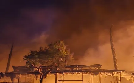 قنبلة حرب قديمة تشعل حريقاً هائلاً في أرض مهجورة بطرابلس