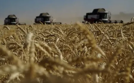 صادرات الحبوب الأوكرانية ترتفع إلى 8.7 مليون طن