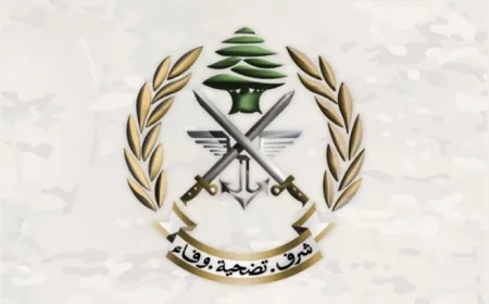 توقيف مواطنَين في منطقتَي الملولة والقموعة - الشمال لارتكابهما جرائم مختلفة