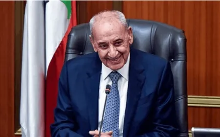 بري عن احتلال إسرائيل للأراضي الجنوبية: فشروا