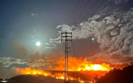 بالفيديو - حريق كبير في جبل تربل والنيران تتمدّد بسرعة