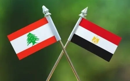 مصر تعلن تضامنها مع لبنان.. رسالة إلى ميقاتي من السيسي