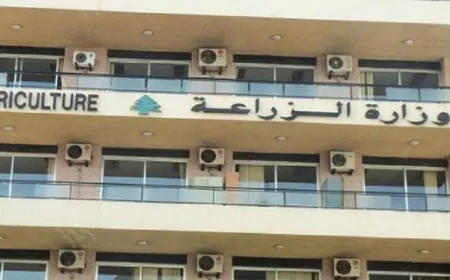وزارة الزراعة: اعتداء جبان ينافي كل المبادئ الإنسانية