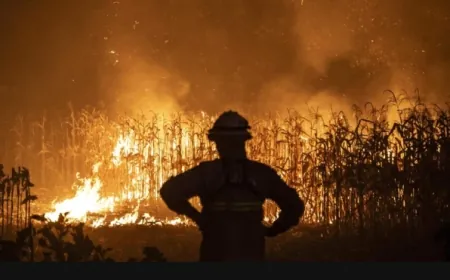 البرتغال تطلب المساعدة من إسبانيا والمغرب في إطفاء حرائق غابات ضخمة