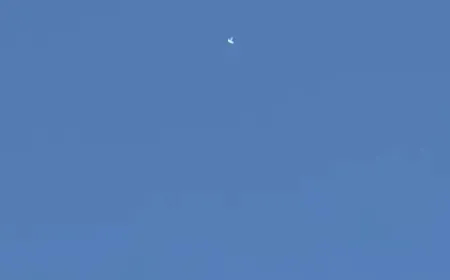 بالفيديو - مسيرة فوق الرسول الاعظم والاوزاعي