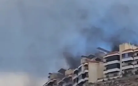 بالفيديو - استهداف المشروع القطري في بلدة برجا