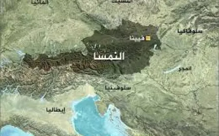 وزير خارجية النمسا: التطورات الأخيرة في لبنان مقلقة للغاية وعلى الجميع أن يبتعدوا عن حافة الهاوية