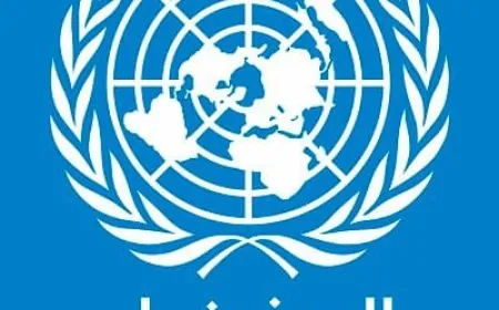 منظمة اليونيسف: ما لا يقل عن 35 طفلاً قتلوا حتى الآن بالقصف الإسرائيلي في لبنان وأكثر من هؤلاء تحت الركام