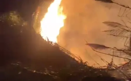 بالفيديو - مجسم غريب في سماء صيدا