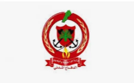 الدفاع المدني اللبناني: ارتفاع عدد شهداء الغارة الإسرائيلية على الضاحية الجنوبية إلى 50 شهيدا و ١١ مفقود