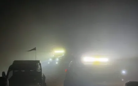 الدفاع المدني: إنقاذ ثلاثة مواطنين ضلوا طريقهم عند قمة جبل صنين