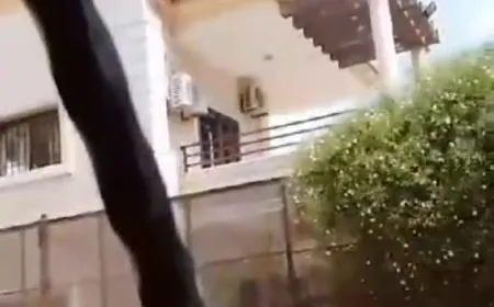 بالفيديو - استشهاد عائلة كاملة في الخرايب