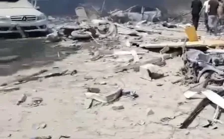 بالفيديو - البقاع اللبناني