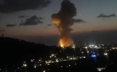 اوتستراد الغازيه صيدا