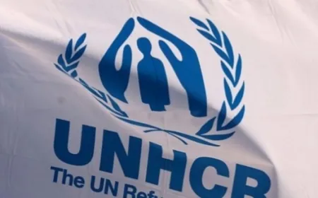 ‏مفوضية الأمم المتحدة للاجئين: الحرب دمرت مناطق عدة في ‎لبنان ولا يمكن قبول الخسائر التي لحقت بالمدنيين