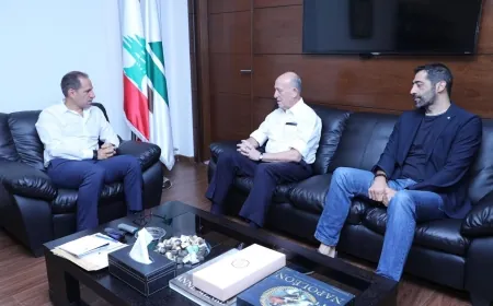 الجميّل يلتقي ريفي ودعوة للعودة إلى الدولة