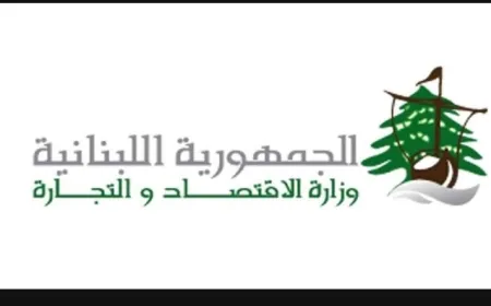 محضرا ضبط في حق أصحاب مستودعات في صيدا لبيعهم الفرش بأسعار مرتفعة