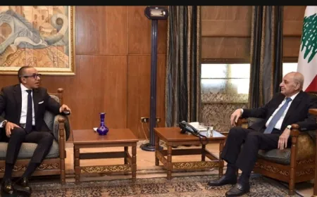 السفير المصري بعد لقائه بري: الحل الآن هو في وقف إطلاق النار وصولًا إلى تطبيق 1701 كاملًا