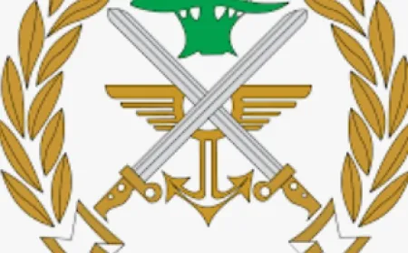 إصابة عدد من عناصر الجيش اللبناني في غارة إسرائيلية على مركز عسكري جنوب لبنان