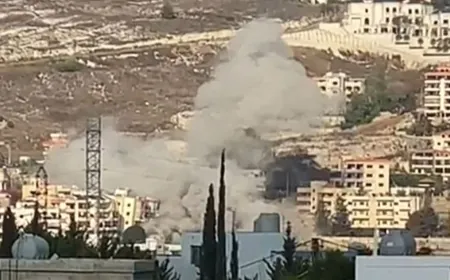 حصيلة جديدة لغارة عين الدلب