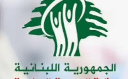 وزارة الصحة اللبنانية: 4 شهداء و5 مصابين في غارة إسرائيلية على بلدة عنقون جنوب_لبنان