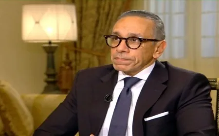 سفير مصر: جهود التهدئة تعقّدت بعد اغتيال نصرالله